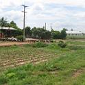 Thailand (132)